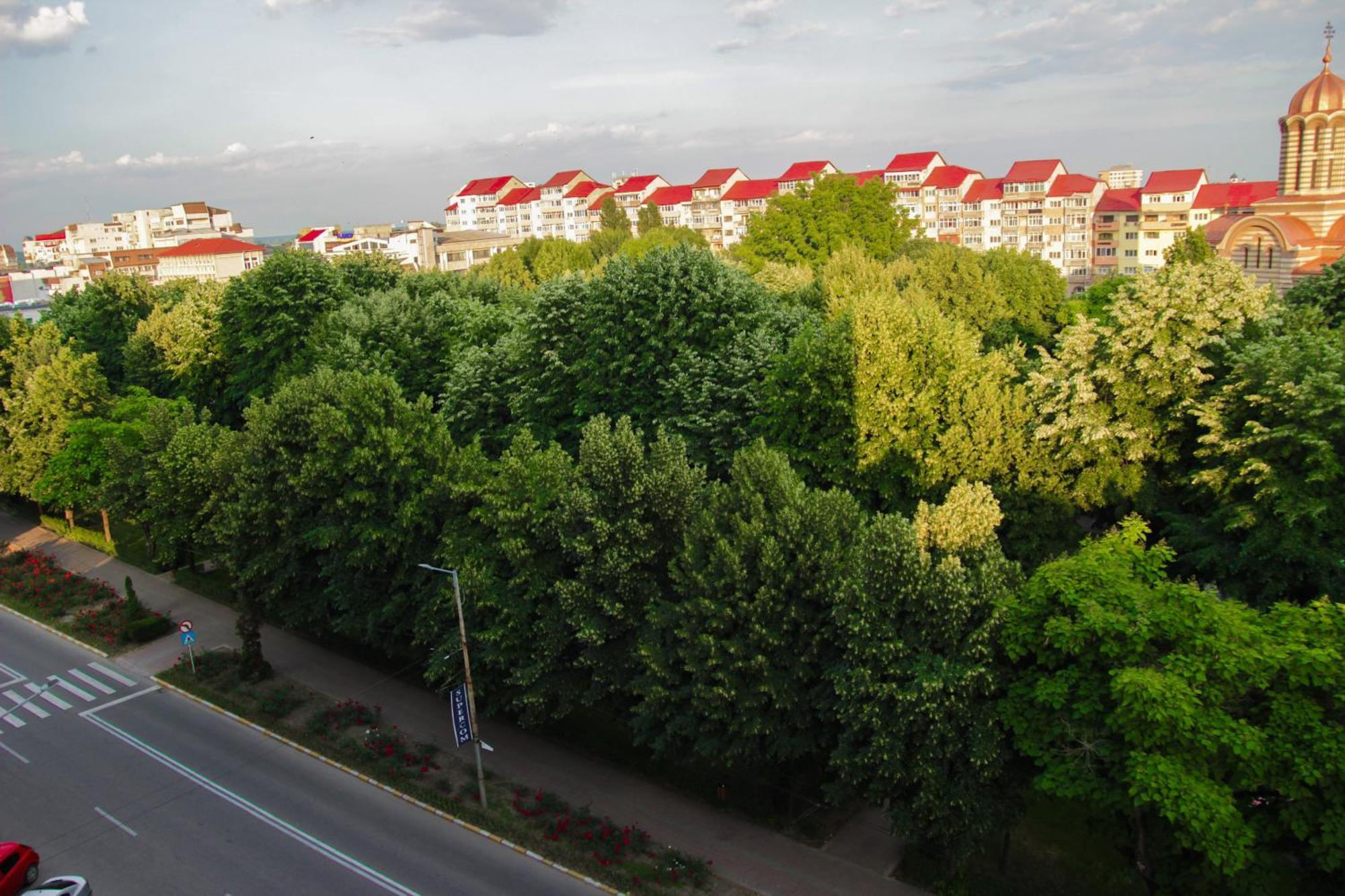 Hotel Dambovita Targoviste Exterior foto
